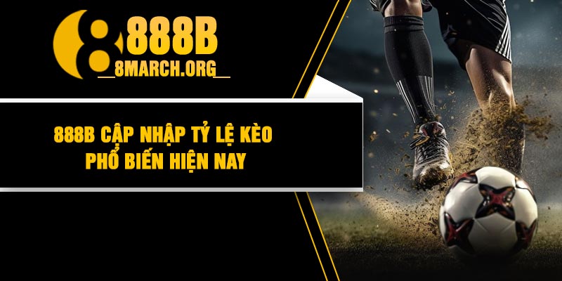 888B Cập Nhập Tỷ Lệ Kèo Phổ Biến Hiện Nay