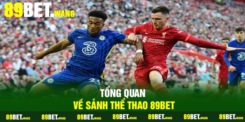 Tổng Quan Về Sảnh Thể Thao 89Bet